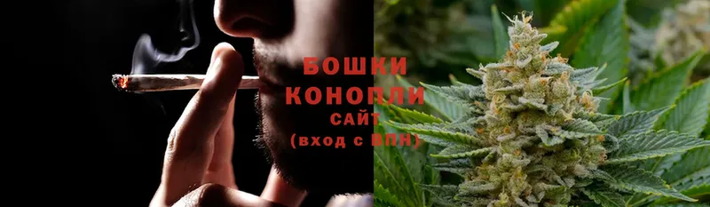 Бошки марихуана LSD WEED  как найти   Змеиногорск 